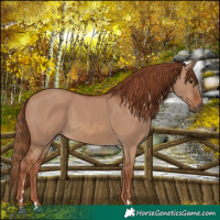 Horse Color:Red Dun 