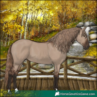 Horse Color:Liver Red Dun 