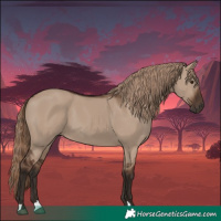 Horse Color:Liver Red Dun 