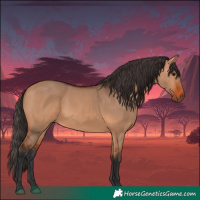 Horse Color:Bay Dun