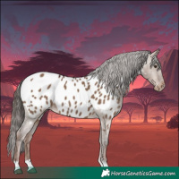 Horse Color:Liver Red Dun Near Leopard 