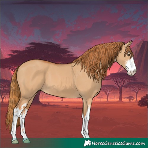 Horse Color:White Spotted Red Dun 
