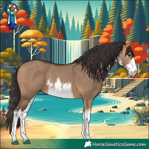 Horse Color:White Spotted Bay Dun 