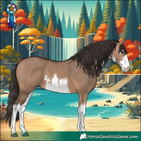 Horse Color:White Spotted Bay Dun 