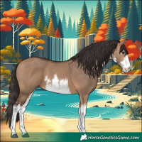 Horse Color:White Spotted Bay Dun 