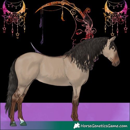 Horse Color:Liver Red Dun 