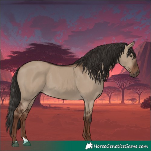 Horse Color:Liver Red Dun 