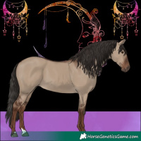 Horse Color:Liver Red Dun