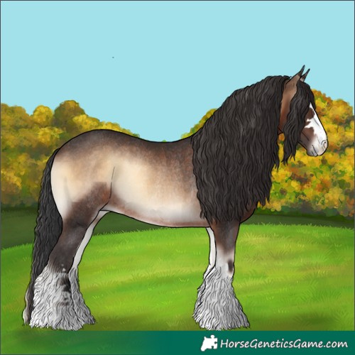 Horse Color:Brown Onyx Rabicano