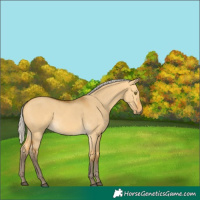 Horse Color:Silver Buckskin Dun 