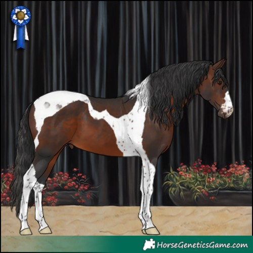 Horse Color:Brown Tobiano 