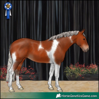 Horse Color:Silver Bay Tobiano