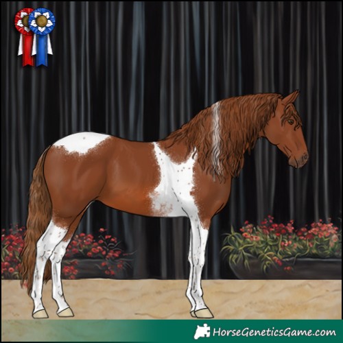 Horse Color:Chestnut Tobiano