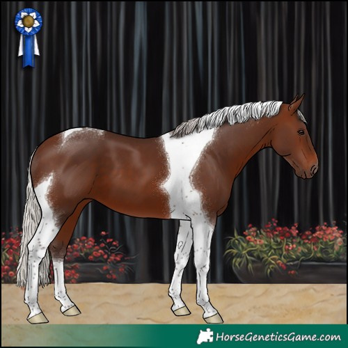 Horse Color:Silver Brown Tobiano 