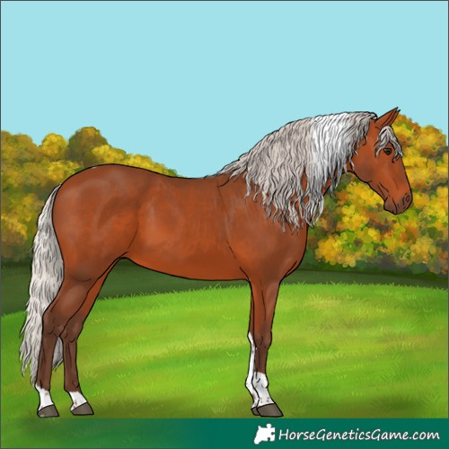 Horse Color:Silver Bay Tobiano 