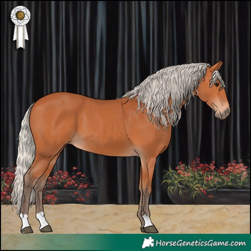 Horse Color:Silver Bay 