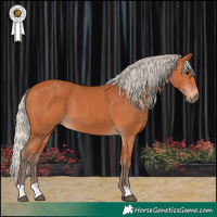 Horse Color:Silver Bay 