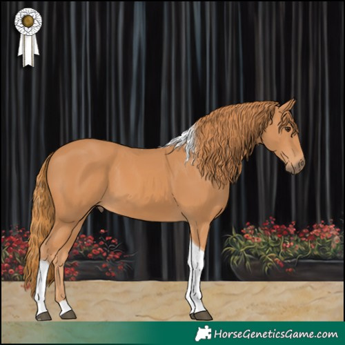 Horse Color:Chestnut Tobiano 