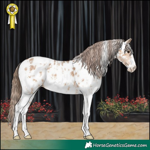 Horse Color:Bay Dun Sabino Near Leopard 