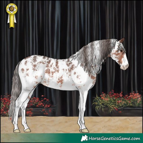 Horse Color:Brown Sabino Near Leopard