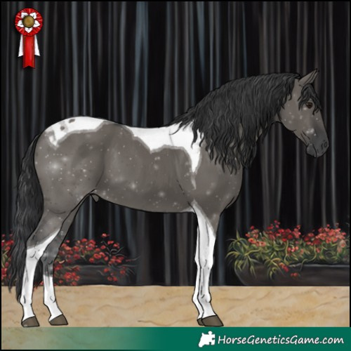 Horse Color:Grullo Tobiano 
