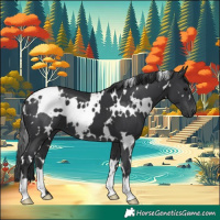 Horse Color:White Spotted Black