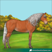 Horse Color:Silver Bay