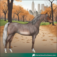 Horse Color:Silver Brown Roan 