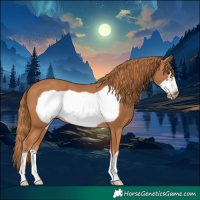 Horse Color:Chestnut Frame 