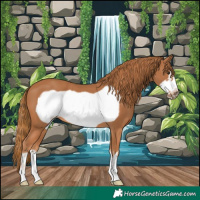 Horse Color:Chestnut Frame