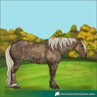 Horse Color:Chocolate Palomino Ice Dun 