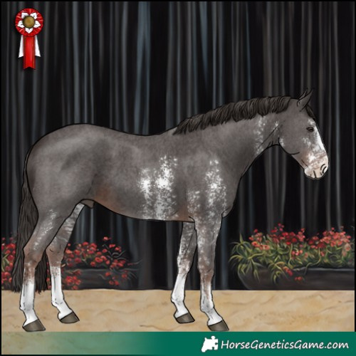 Horse Color:Liver Chestnut Sabino 