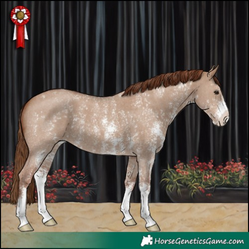 Horse Color:Red Dun Sabino 