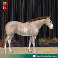 Horse Color:Red Dun Sabino 