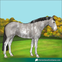 Horse Color:Smoky Grullo Sabino 