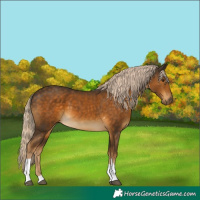 Horse Color:Chocolate Palomino Tobiano 