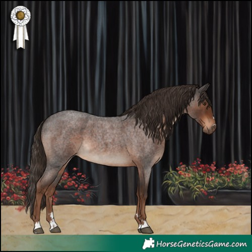 Horse Color:Liver Red Roan 