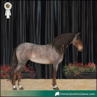 Horse Color:Liver Red Roan 