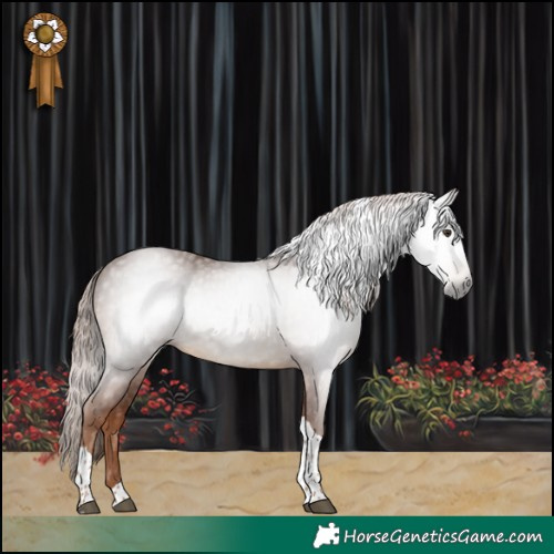Horse Color:Gray Chestnut Tobiano 