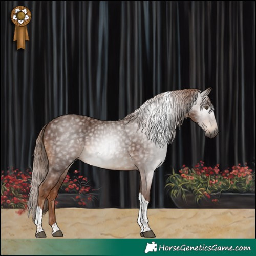 Horse Color:Gray Chestnut Tobiano 