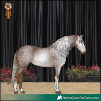 Horse Color:Gray Chestnut Tobiano 