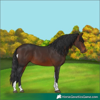 Horse Color:Brown Tobiano 