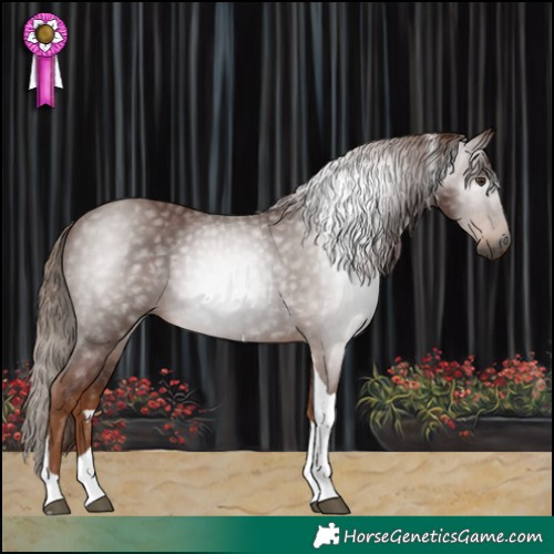 Horse Color:Gray Chestnut Tobiano 