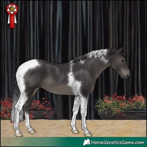 Horse Color:Smoky Black Tobiano 