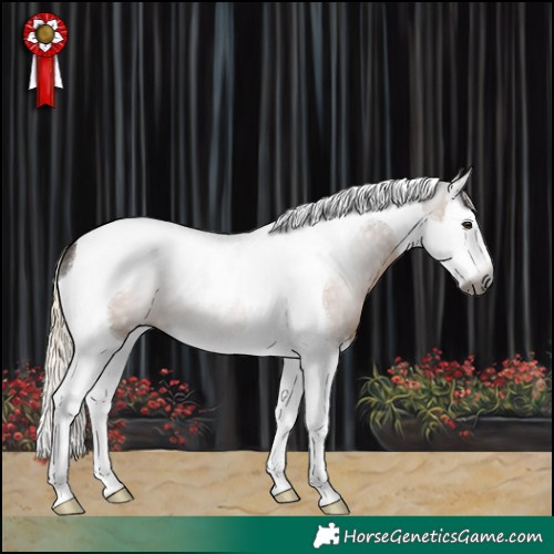 Horse Color:Gray White Spotted Chocolate Palomino Splash Tobiano 