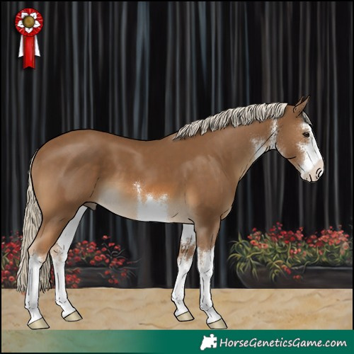 Horse Color:White Spotted Chocolate Palomino 