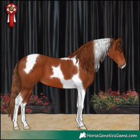 Horse Color:Chestnut Tobiano 