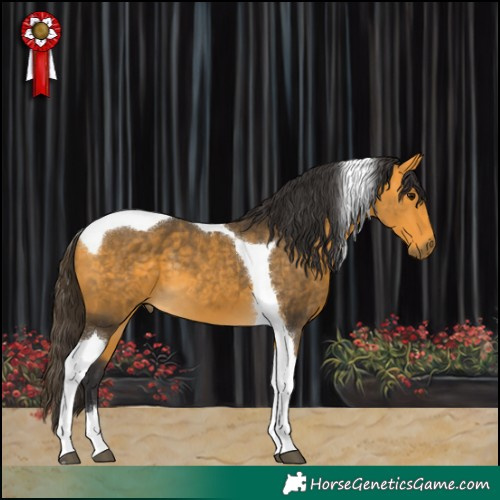 Horse Color:Buckskin Tobiano 