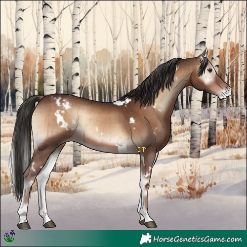 Horse Color:White Spotted Liver Red Onyx Varnish Rabicano Brindle 