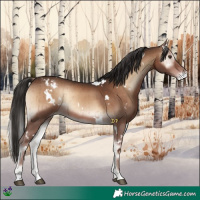 Horse Color:White Spotted Liver Red Onyx Appaloosa Rabicano Brindle 